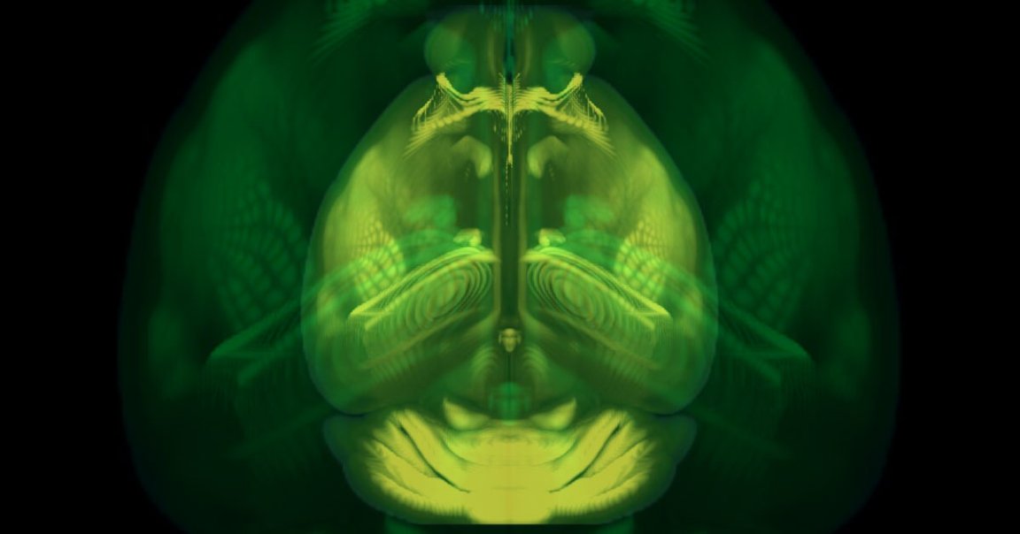 A team of neuroscientists just created a complete, three-dimensional map of a mouse brain that they say could be a game changer for researchers.