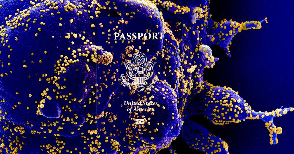 While "immunity passports" have been thrown around as a possible way to gradually reopen society, a bioethics expert argues that it would be ill-advised.