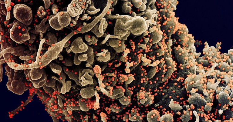 In an interview with National Geographic, Anthony Fauci reiterated that evidence suggests the coronavirus was not created in a lab in China.