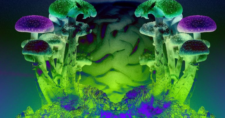 A new study on people taking psilocybin revealed the biological mechanisms responsible for feelings of bliss associated with the drug.