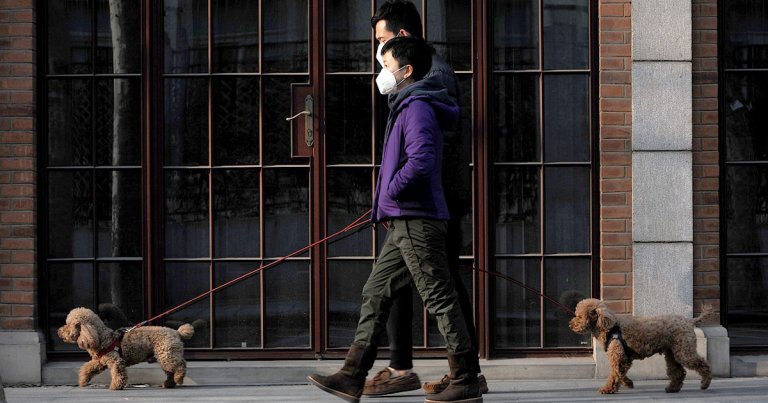 A resurgence of coronavirus cases is starting to hit China, South Korea and Germany — just as governments are starting to loosen restrictions.