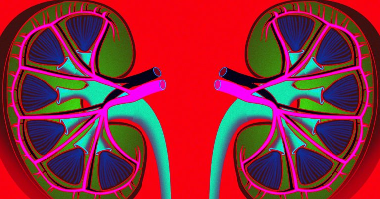 According to a new study, a large medical system located in New York, over a third of COVID-19 patients experienced acute kidney injury.