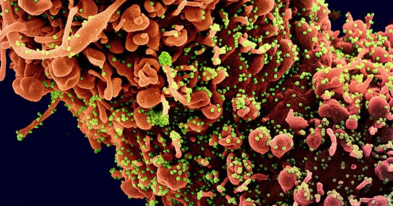 Florida has seen a record resurgence in new COVID-19 cases, with new cases exceeding 1,000 for five days straight. Yet the state is reopening this week.