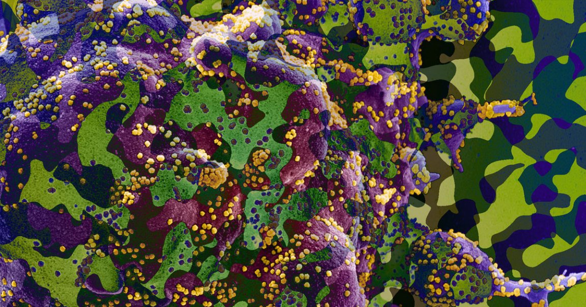 Scientists just discovered one of the ways that the coronavirus sneaks into cells: a "camouflage" enzyme disguises it as a natural part of the host.