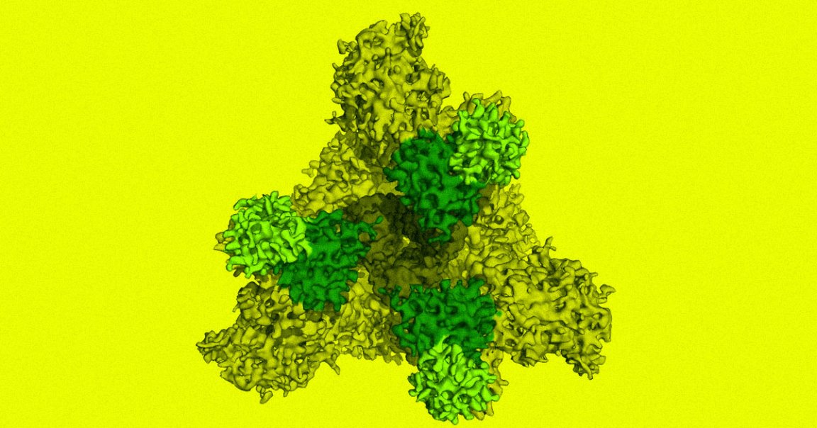 Scientists managed to capture images of an antibody neutralizing the coronavirus, and they say studying its moves could lead to vaccines or treatments.