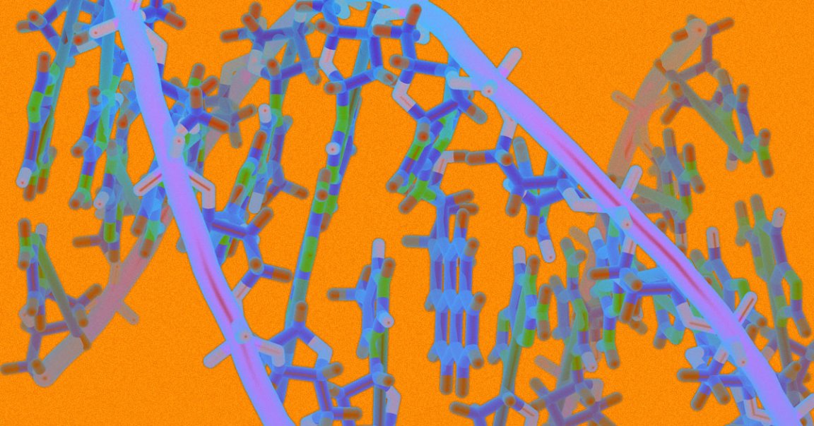 An experimental gene therapy seems to have staved off a young boy's Duchenne muscular dystrophy, suggesting new treatments could be on the way.