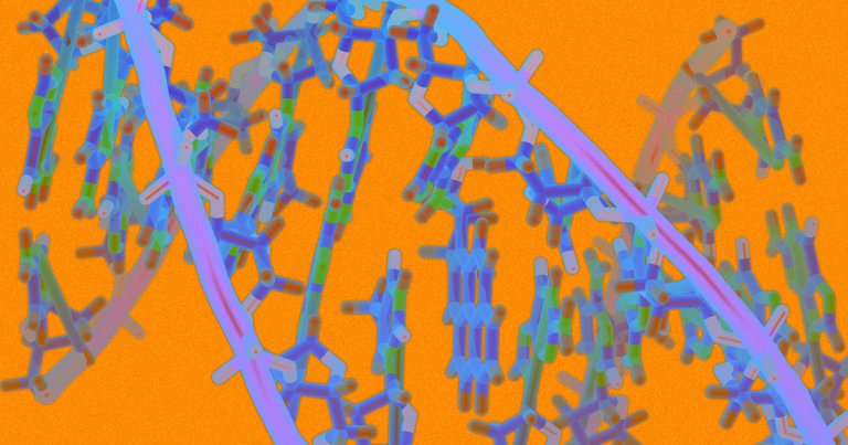 An experimental gene therapy seems to have staved off a young boy's Duchenne muscular dystrophy, suggesting new treatments could be on the way.