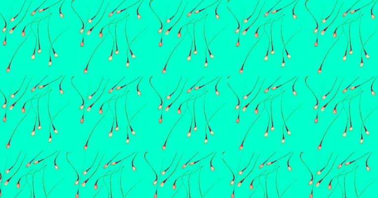 Scientists grew stermatogonial stem cells — the precursors to sperm — in a lab for the first time, potentially unlocking new fertility treatments.