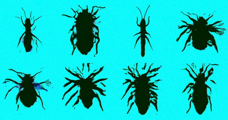 A programmer named Aldo Cortesi created an algorithm that draws nonexistent animals, some of which look plausible and others which look like bizarre.