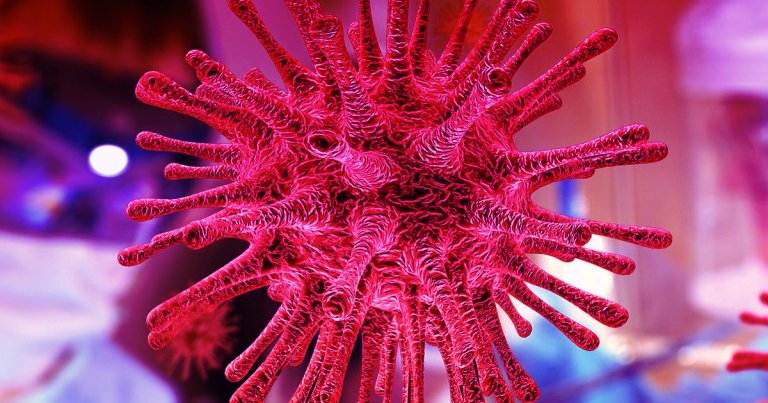 Kwok Yung Yuen, a professor and microbiologist, told the BBC that Chinese officials may have tried to cover up the coronavirus in early January.