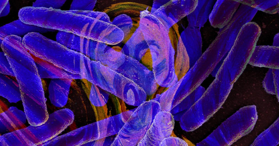 Scientists say that bacteria "scream" as they die, giving off chemical alarms that warn their brethren of danger like antibiotics.