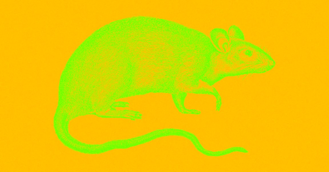 Research suggests scientists should pay greater attention to their lab mice's well-being. Not only for the mice's sake, but because it improves the science.
