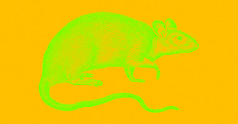 Research suggests scientists should pay greater attention to their lab mice's well-being. Not only for the mice's sake, but because it improves the science.