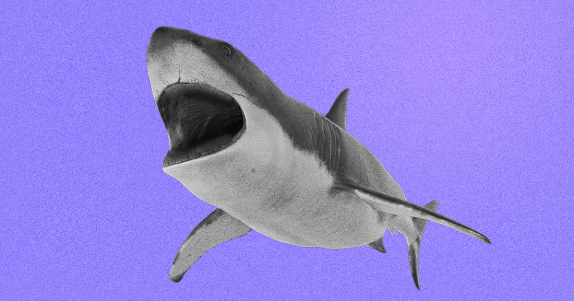 Scientists found a shark that had its teeth and skin almost completely eaten away by ocean acidification and chemical pollution.