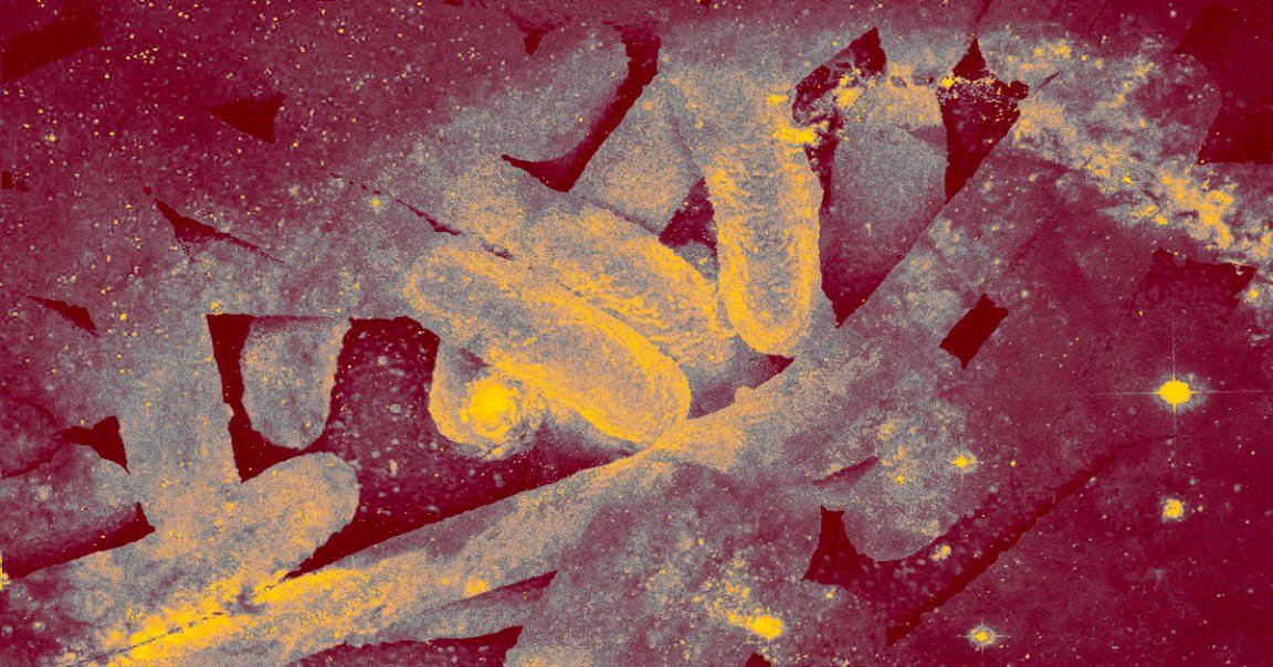 Researchers in Japan say bacteria could survive on the outside of a spacecraft for the entire duration of a trip to Mars.