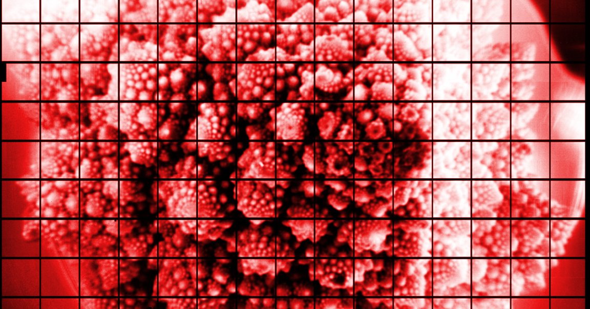 Scientists are building the largest digital camera on Earth meant to observe the night sky. In a test, they took a picture of a head of Romanesco broccoli.
