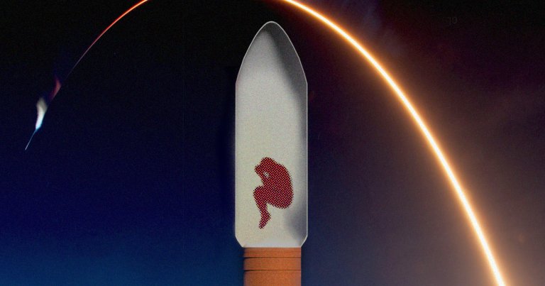 The SpaceX rideshare program is designed to launch small satellites into orbit. Here's what it would be like to hitch a ride.