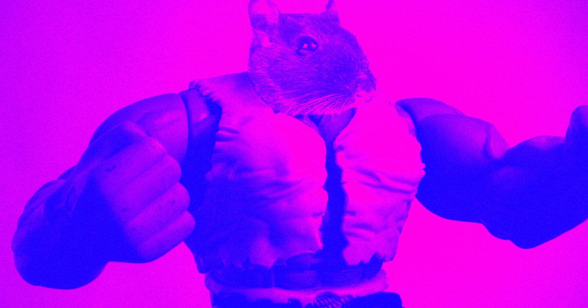 A bunch of mice got absolutely ripped before heading to space thanks to cutting edge gene-editing science. According to a new paper, they stayed ripped.