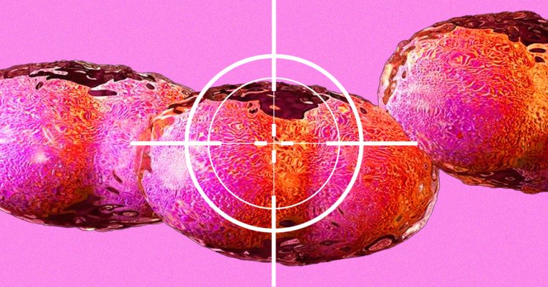 It's not impossible that the next pandemic will involve a deadly virus bioengineered by an adversary, according to Harvard Law fellow Vivek Wadhwa.