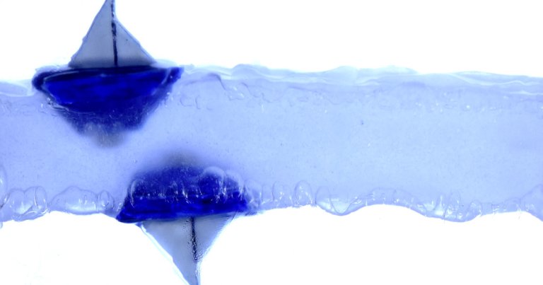In an experiment, a team of scientists have created a levitating fluid that allows a tiny boat to float both on top of it — and below it.
