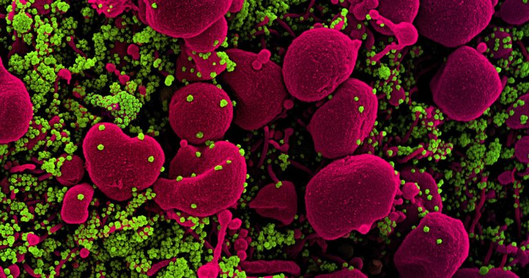 Scientists mapped the physical structure of the coronavirus' genetic code at an unprecedented level of detail in hopes that they can find ways to stop it.