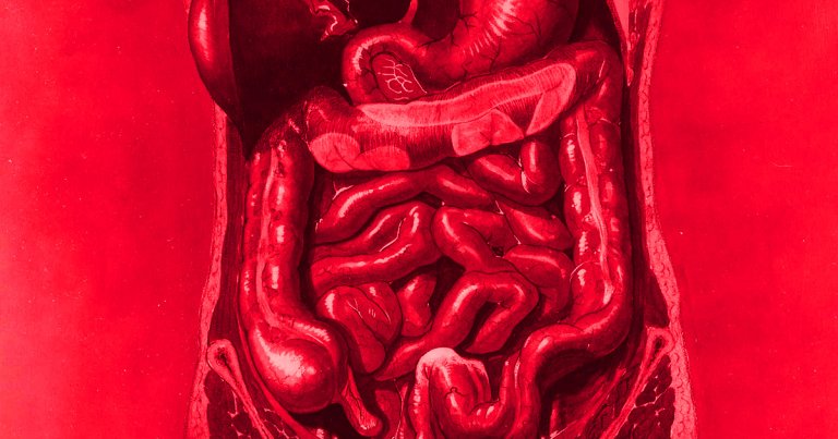 New research links Parkinson's Disease dementia to the activity of a specific hormone found in our guts, perhaps leading to new treatments or diagnostics.
