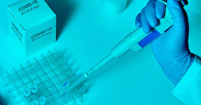 Contrary to what Trump has been insisting for the whole pandemic, the surge in new coronavirus cases has nothing to do with how many tests are administered.