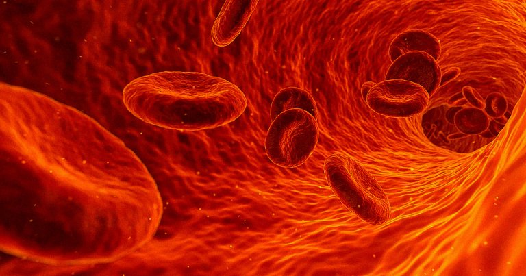 Research shows that the human species is rapidly evolving: The percent of people with a medial artery in their forearms has grown over the last 150 years.