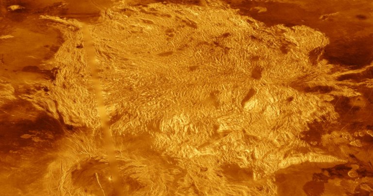Astronomers suggest checking the surface of the Moon for ancient rocks that could have been blasted away from Venus during asteroid strikes.