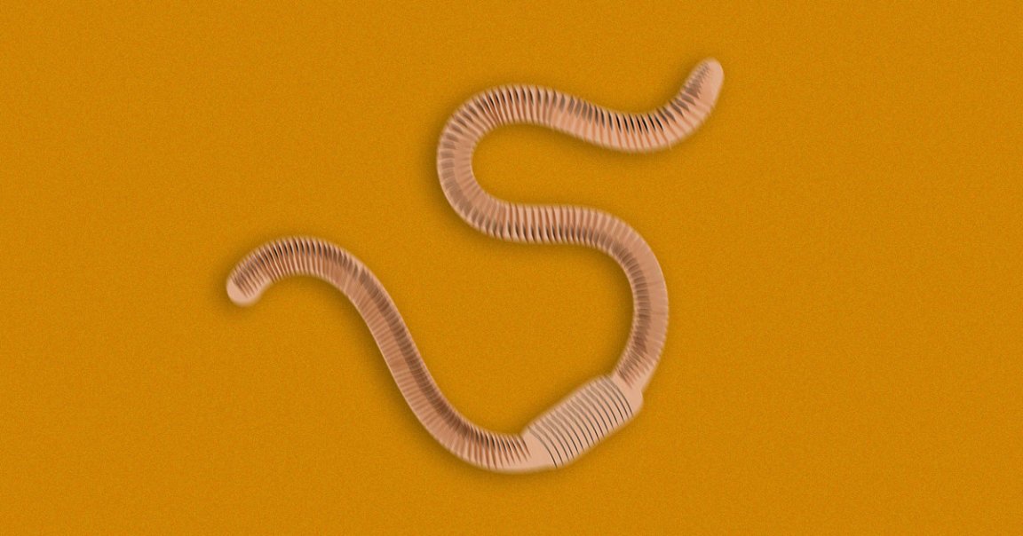 A scientist who won an Ig Nobel for his work on vibrating earthworms with a speaker say their research may be the key to brain-computer interface.