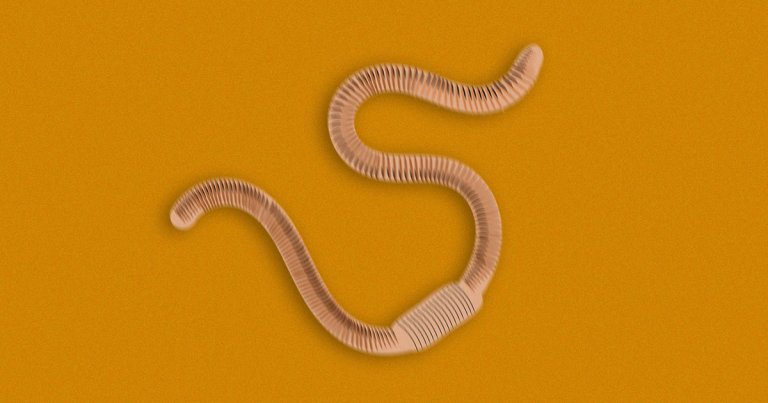 A scientist who won an Ig Nobel for his work on vibrating earthworms with a speaker say their research may be the key to brain-computer interface.