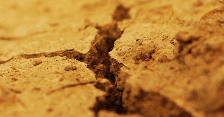 According to researchers from the University of Queensland, Australia, our planet will be hit with more prolonged "mega-droughts" thanks to cliamte change.