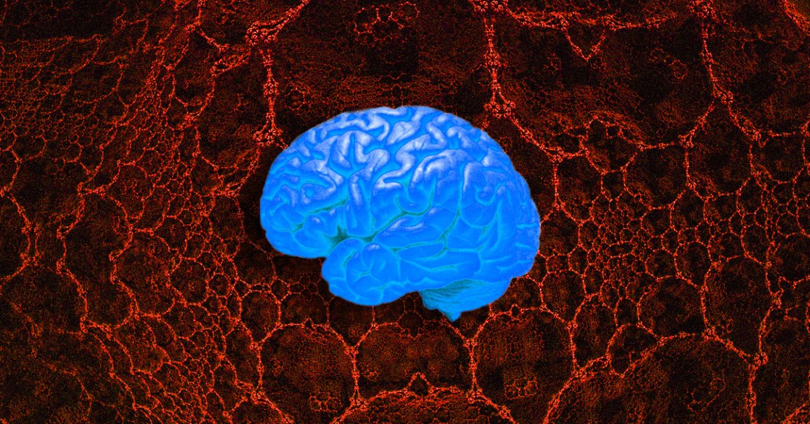 A team of scientists uncovered how our brains process 3D images — then discovered that neural networks happen to do it the same way.