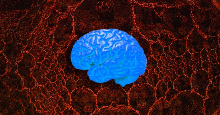 A team of scientists uncovered how our brains process 3D images — then discovered that neural networks happen to do it the same way.