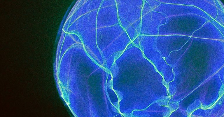 New Theory: Dark Matter Was Created by “Boiling” Bubbles of Plasma