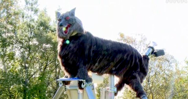A city in Japan just installed several terrifying robot wolves that can move and give off blood-curdling howls in an attempt to prevent bear attacks.
