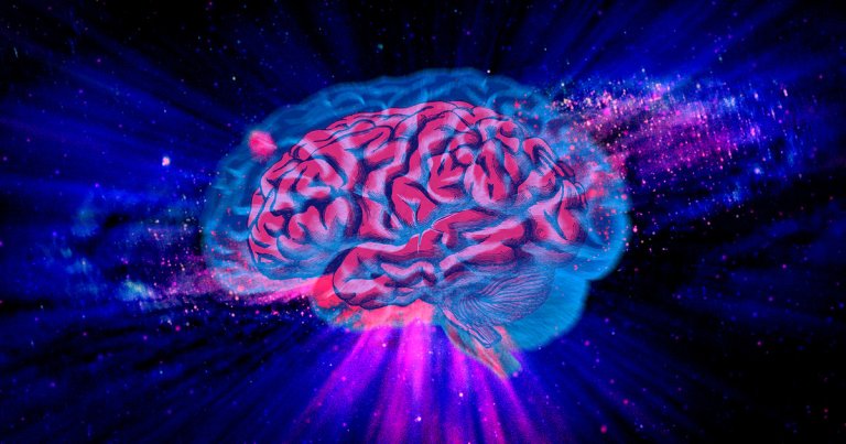 The observable universe and the neuronal networks of the human brain are astonishingly alike according to a new paper by an astrophysicist and neurosurgeon.