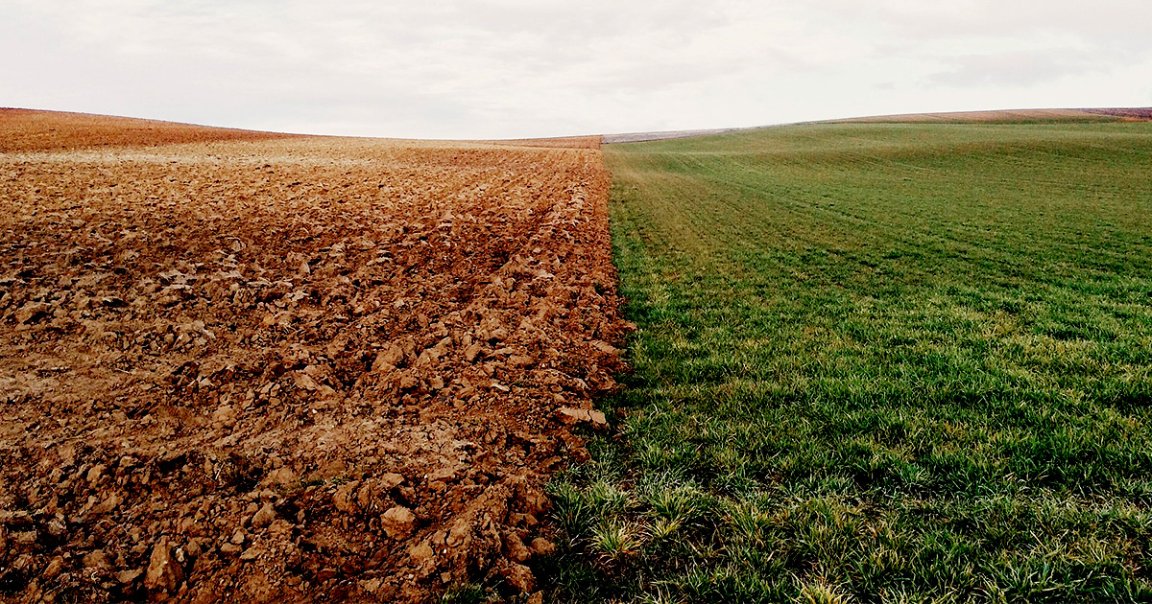 Failing to reach the Paris agreement's goals and heating Earth by two degrees Celsius could trigger the release of 230 billion tons of carbon from the soil.
