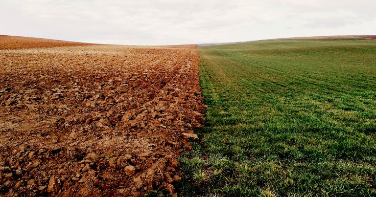 Failing to reach the Paris agreement's goals and heating Earth by two degrees Celsius could trigger the release of 230 billion tons of carbon from the soil.