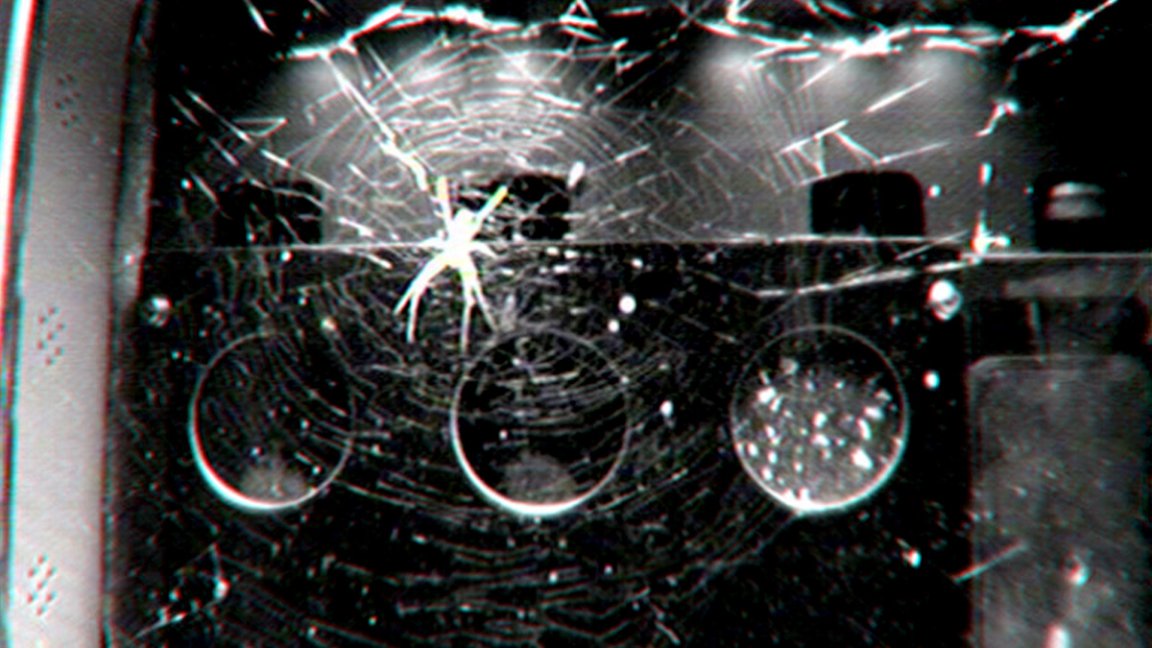 Scienitsts decided to bring spiders to the International Space Station to find out how important gravity was for their webs.