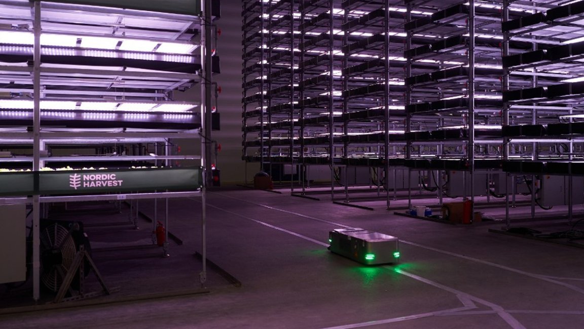 A new vertical farm opening on the outskirts of Copenhagen, Denmark, is set to start producing 1,000 metric tons of greens a year.