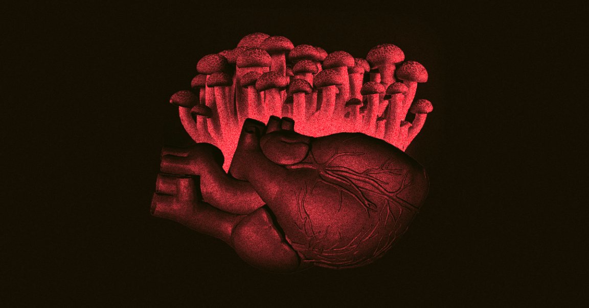 A man tried to treat his bipolar disorder with psychedelic mushrooms. But after he injected instead of eating them, the shrooms grew inside his bloodstream.