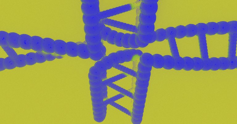 A team of Chinese scientists have developed a gene therapy that was shown to reverse some aspects of aging and extend lifespans in mice.