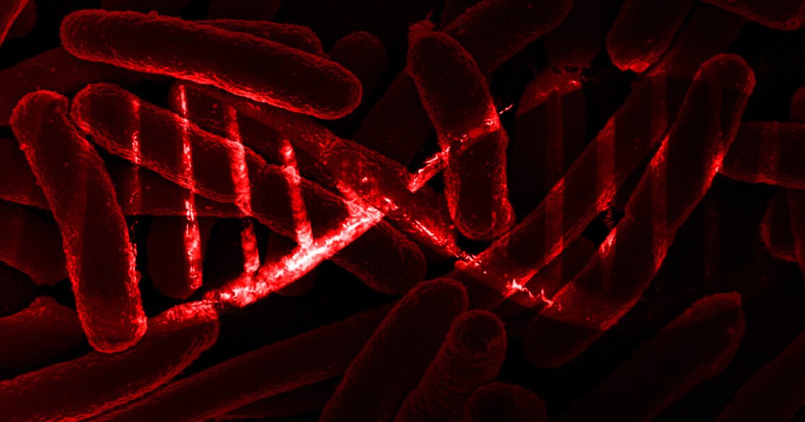 Scientists Successfully Store Data Inside DNA of Living Bacteria