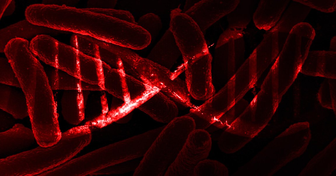 Scientists have managed to program data into the DNA of living bacteria for the first time, allowing the data to be passed on to the next generation.