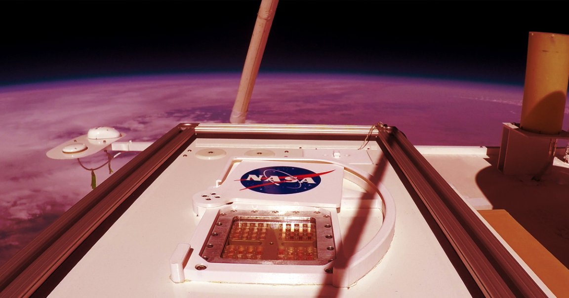 According to a new study by scientists from NASA and the German Aerospace Center, some Earthling microbes could survive the hostile conditions on Mars.