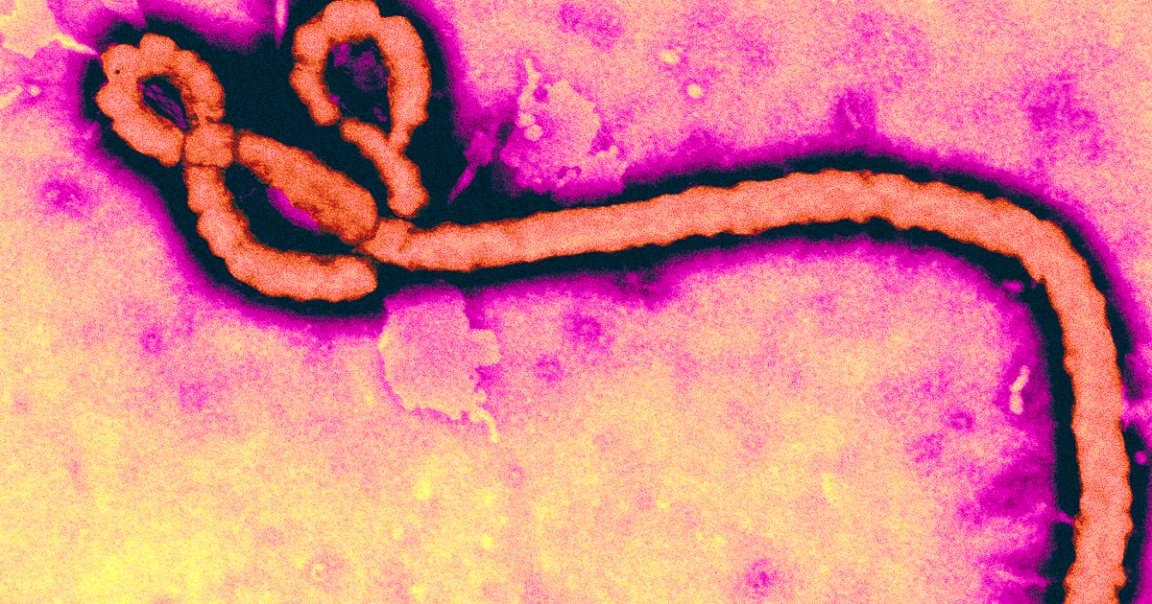 The Democratic Republic of Congo is now staring down its 12th Ebola outbreak just three months after the previous one ended.