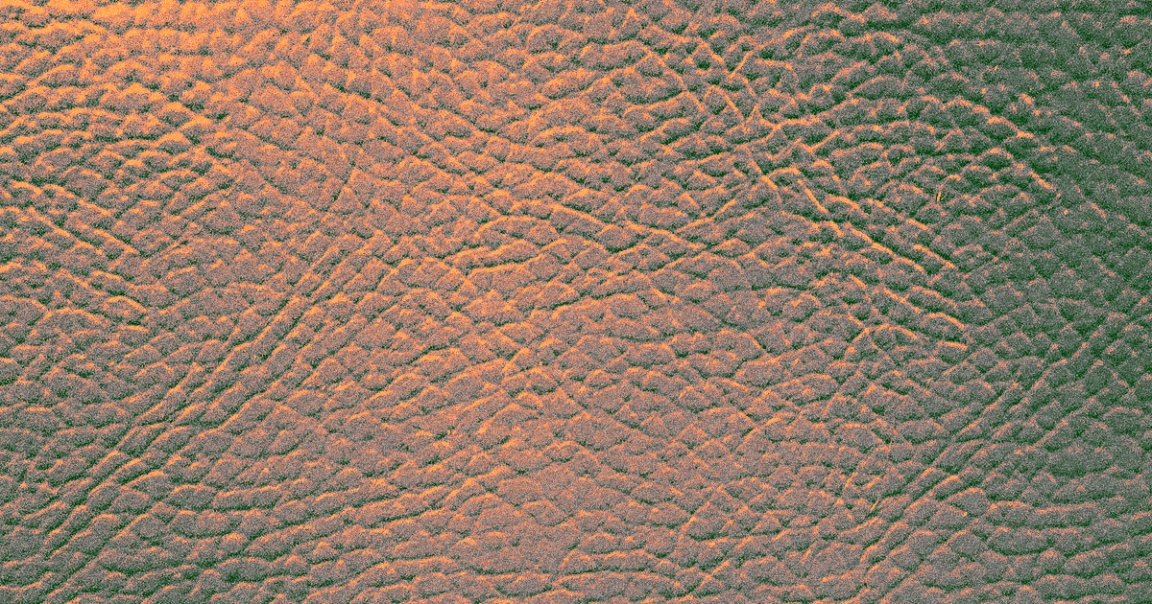 Scientists developed a small skin patch covered in microneedles that could replace medical tests that require drawing blood.