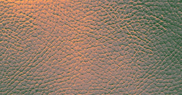 Scientists developed a small skin patch covered in microneedles that could replace medical tests that require drawing blood.