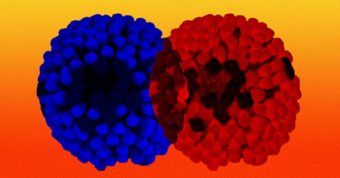 A researcher has discovered "pretty clear" evidence of a new hybrid version of the coronavirus that resulted from two variants combining their genomes.